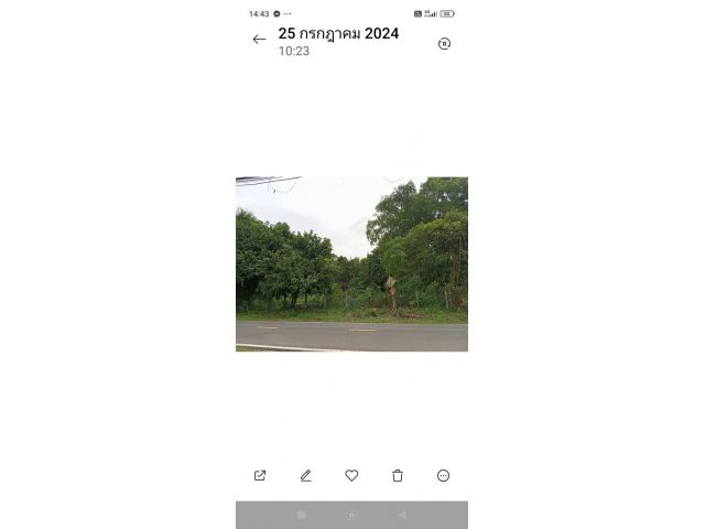 ขายที่ดิน 200 ตรว.ตำบลแจระแม อ. เมืองอุบล จ.อุบลราชธานี