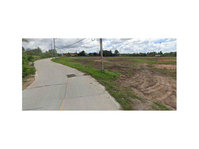 ขายที่ดิน 24 ไร่ ถนนหนองสะเดา ต.บางละมุง อ.บางละมุง จ.ชลบุรี