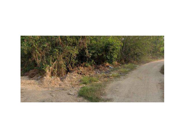 ขายที่ดิน 7 ไร่ ถนนตะเคียนเตี้ย ต.บางละมุง อ.บางละมุง จ.ชลบุรี