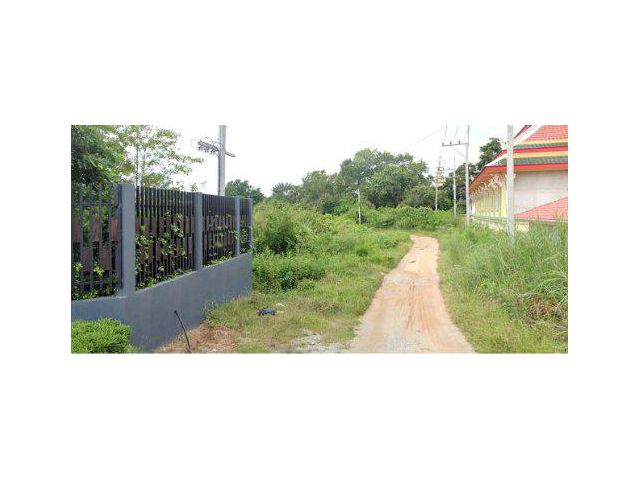 ขายที่ดิน 28 ไร่ ซอยบางละมุง 13 ต.ตะเคียนเตี้ย อ.บางละมุง จ.ชลบุรี