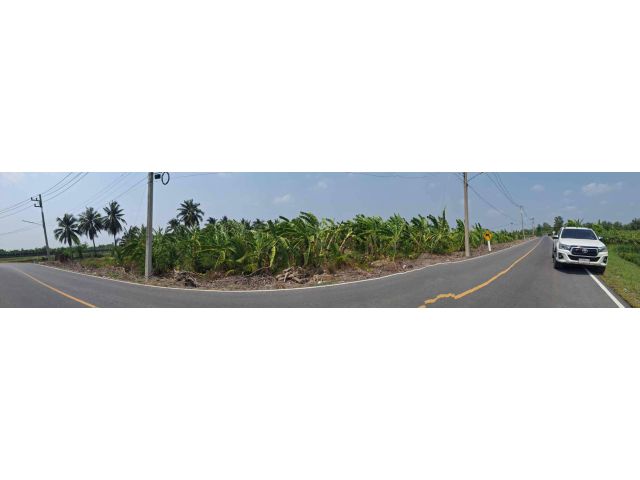 ที่ดินโคกพระเจดีย์ ที่ดินนครปฐม ที่ดินนครชัยศรี 7 ไร่ ทำสวนมะพร้าว ใกล้สนามชัยหาดทรายขาวทะเลนครปฐม