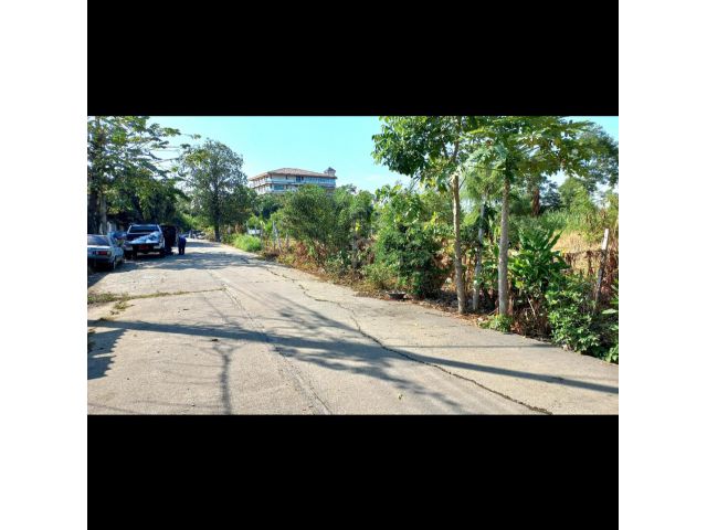 ขายที่ดิน1งานถมแล้วติดถนน4เลนคลอง7ไปอยุธยาตรงข้ามกับห้างดูโฮม