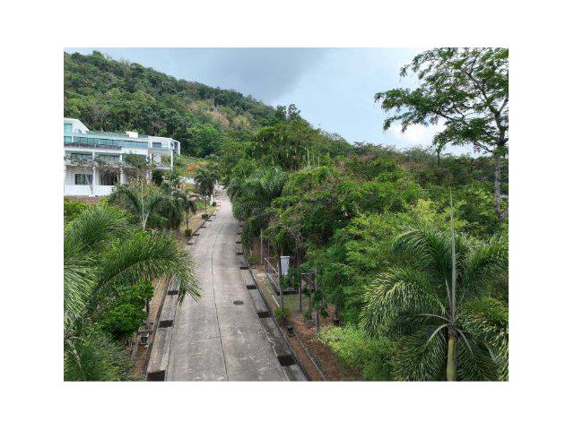 ขายที่ดิน 314 ตรว. ต.ป่าคลอก อ.ถลาง จ.ภูเก็ต