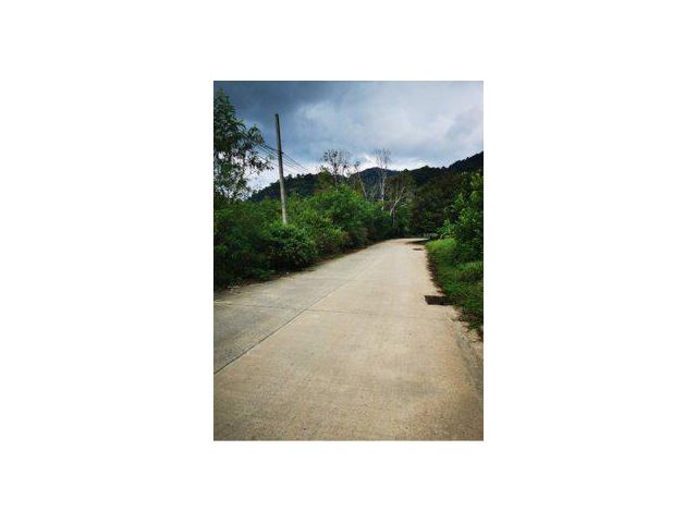 ขายที่ดิน 5 ไร่ ใกล้สวนน้ำภูเก็ต ต.กะทู้ อ.กะทู้ จ.ภูเก็ต