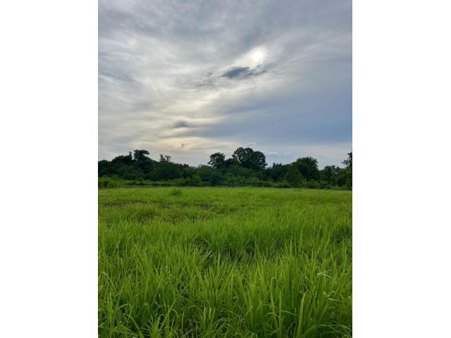 ขายที่ดินโฉนดเขาใหญ่ ใกล้ถนนมิตรภาพ 1 ไร่ 3 งาน 68.4 ตารางวา ต.พญาเย็น อ.ปากช่อง จ.นครราชสีมา