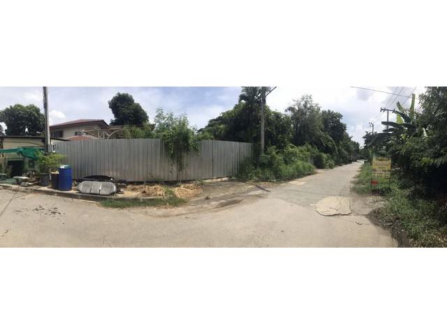 ขายที่ดิน ซอยราชวินิตบางแก้ว 1 ขนาด 288 ตร.ว. ใกล้เมกาบางนา