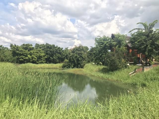 ขายที่ดินปลูกบ้าน 100 วา ในกฤษดานคร บรมราชชนนี