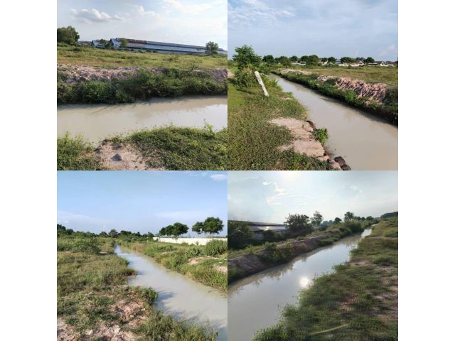 ที่ดินโฉนด ต.หนองตากยา อ.ท่าม่วง จ.กาญจนบุรี ขุดคูรอบแปลง สำหรับทำการเกษตร เลี้ยงสัตว์ได้ ไร่ละแสน4กว่า พร้อมไม้ป่ามีค่า