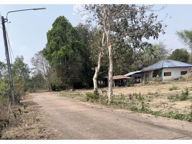 ขายที่ดิน 200 ตรว.ติดคอนกรีต ใกล้เครือสหพัฒน์กบินทร์บุรี