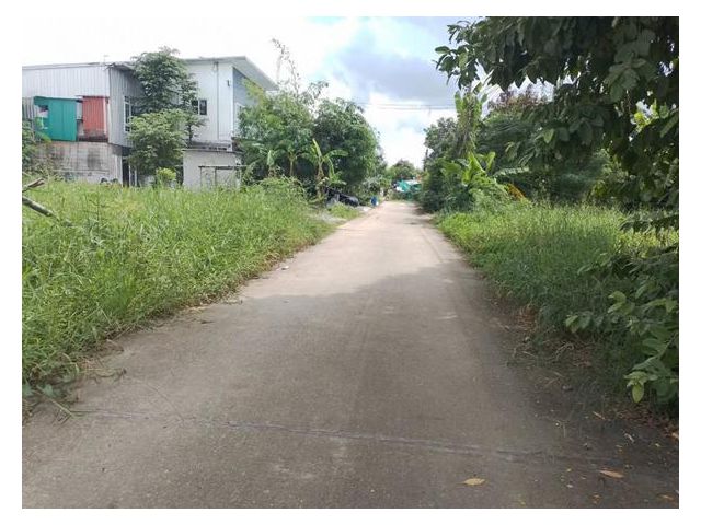 L888 ขายที่ดินเปล่าถูกสุด ถมแล้ว 96 ตรว. อ่อนนุช66 แยก19 หลังศูนย์กีฬาบึงหนองบอน ใกล้ BTSศรีนครินทร์38 าคาขาย 2.89 ล้านบ