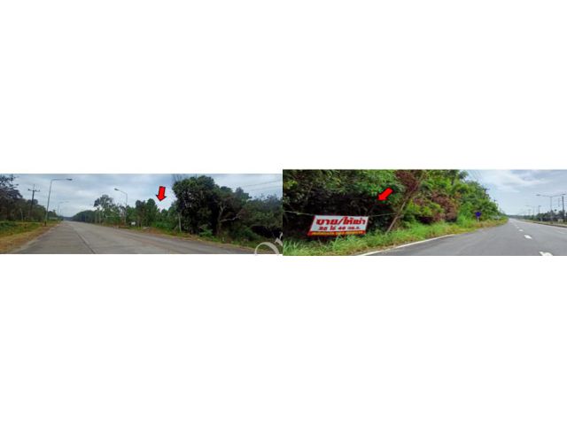 ขายที่ดิน 3แปลง ต.ไม้รูด อ.คลองใหญ่ ตราด 92-2-39 ไร่ ติดที่ดินตะกาดยาวสาธารณประโยชน์ แยกจากถนนสายไม้รูด-คลองมะไร