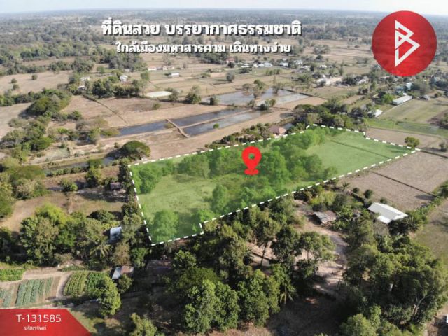ขายที่ดิน เนื้อที่ 8 ไร่ 2 งาน 57 ตร.วา แวงน่าง มหาสารคาม