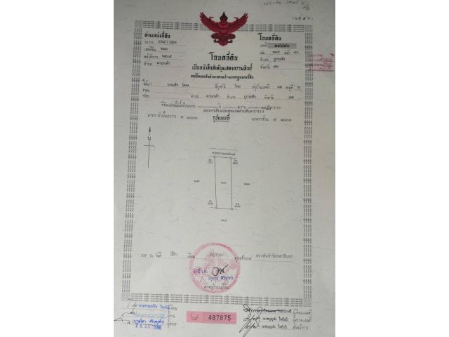 โฉนดครุฑแดง 218 ตรว. ต.ผานกเค้า อ.ภูกระดึง จ.เลย เพียง 230,000 บาท