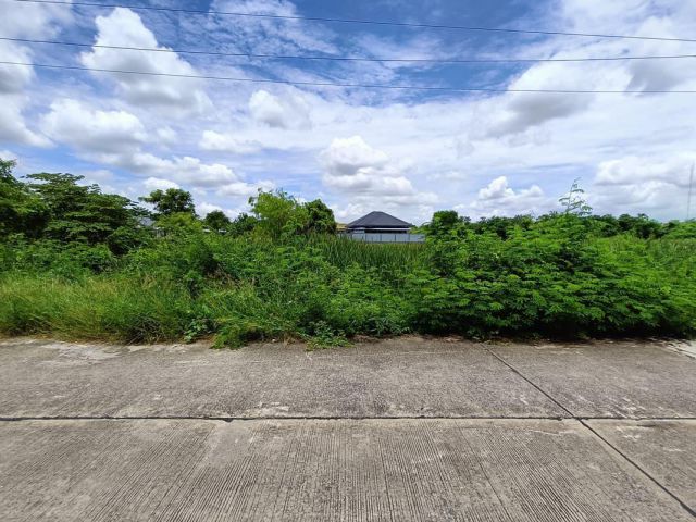 ที่ดินจังหวัดสุพรรณบุรี ตำบลรั้วใหญ่ หน้าแปลงติดถนน ราคาคุยกันก่อนได้