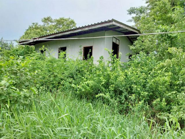 ขาย ที่ดิน 200 ตรว. พร้อมบ้านไม้เก่า ซ.เจริญพัฒนา11 ย่านสุเหร่าคลองหนึ่ง บางชัน กีบหมู เหมาะสำหรับคนชอบธรรมชาติ ราคาถูก