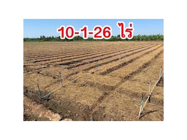 ที่ดินผืนใหญ่ทำเลดี10ไร่ โฉนดครุฑแดงพร้อมโอน ใกล้เทศบาลวังศาลา เข้าออกได้หลายทาง ติดถนนสาธารณะ ใกล้ทางด่วนM81 วิวสวย บรรยากาศดี