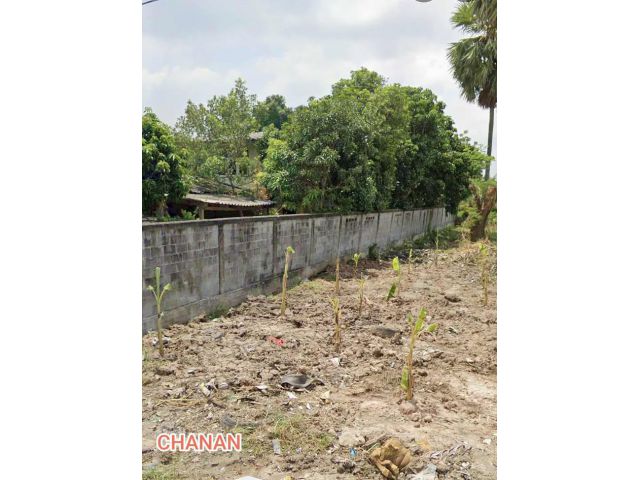 ขายที่ดิน ถ.หมายเลข3121ซ.ระเบียบกิจอนุสรณ์4 อ.บางคล้า จ.ฉะเชิงเทรา เนื้อที่390ตรว