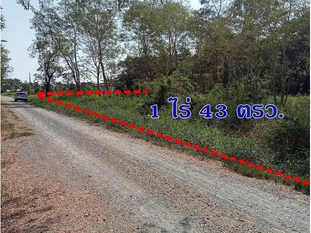 ขายที่ดิน 1 ไร่ 43 ตรว. คลองสิบสอง หนองจอก