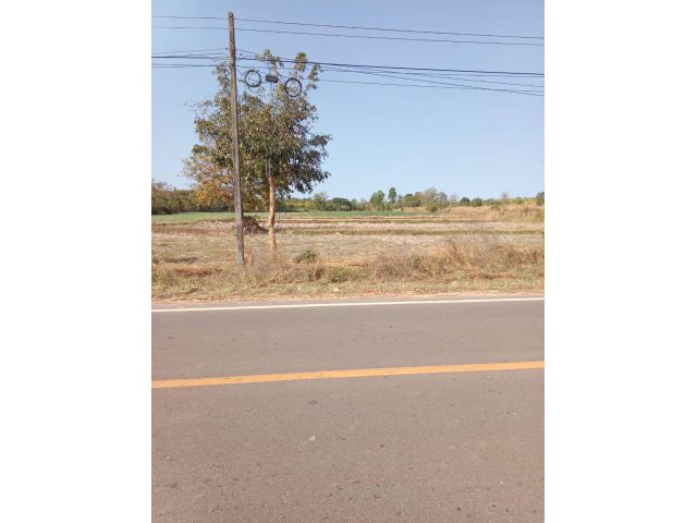ขายที่ดินติดถนนชนบทน.ค 3015 โนนศิลา-นาน้ำพราย เจ้าของขายเอง