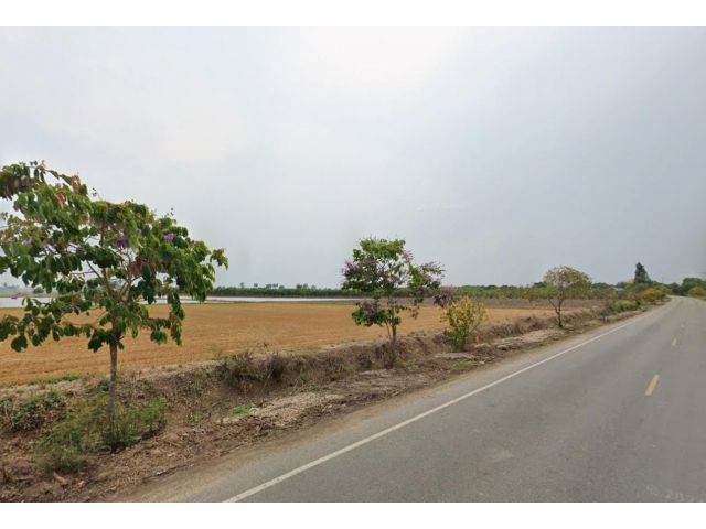 ขายที่ดิน 7 ไร่ ติดถนนลาดยาง ต.วังลึก อ.สามชุก สุพรรณบุรี
