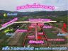 Vายที่ดินพร้อมสวนแบ่งขาย200วา-3ไร่ ติดภูเขาน้ำประปาไฟฟ้าพร้อม ที่ด่านช้าง สุพรรณบุรี
