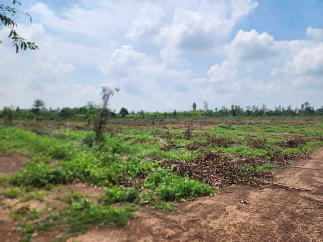 L1639 ขายที่ดิน 30 ไร่ หน้ากว้าง 269 เมตร ศรีมหาโพธิ ปราจีนบุรี