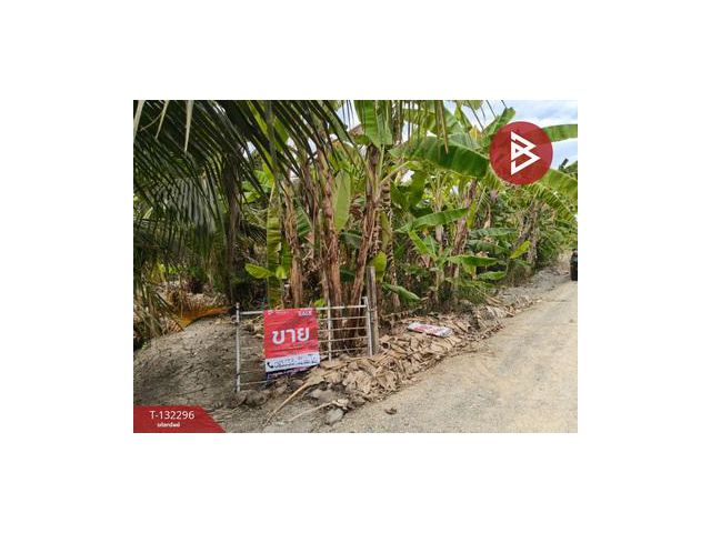 ขายที่ดิน เนื้อที่ 3 งาน 65 ตร.วา บ้านแพ้ว สมุทรสาคร