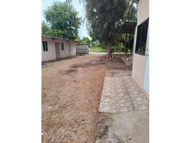 L1641 ขายบ้านพร้อมที่ดิน 1 ไร่ โพธาราม ราชบุรี
