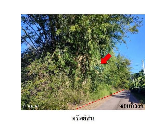 ขายที่ดินว่างเปล่า ต.สามแยก อ.เลิงนกทา จ.ยโสธร