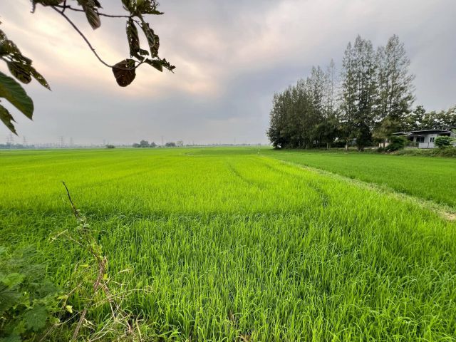 L1649 ขายที่ดินวิวเขา 5 ไร่ เมืองราชบุรี