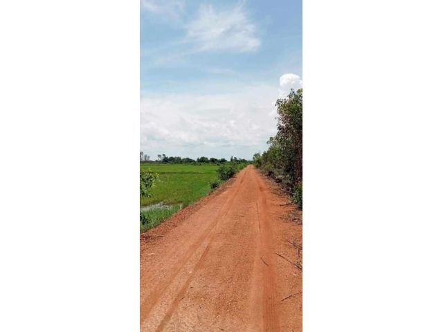 L1650 ขายที่นา 29 ไร่ หน้ากว้าง 388 เมตร ราชสาส์น ฉะเชิงเทรา