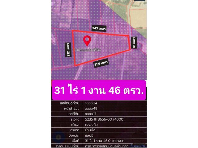 ขายที่ดินติดถนน​ 3​ ด้าน ​ มีพื้นที่ 31ไร่​ 1​ งาน​ 46​ ตรว. ต.คลองกิ่ว อ.บ้านบึง จ.ชลบุรี​ พื้นที่สีม่วงลาย