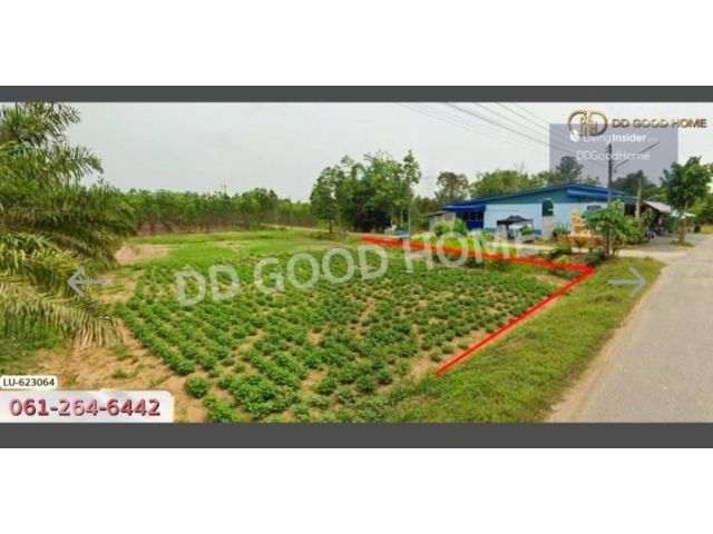 ที่ดินเปล่า บ้านโค้งประดู่เทศบาล 5 อ.เกาะจันทร์ ชลบุรี