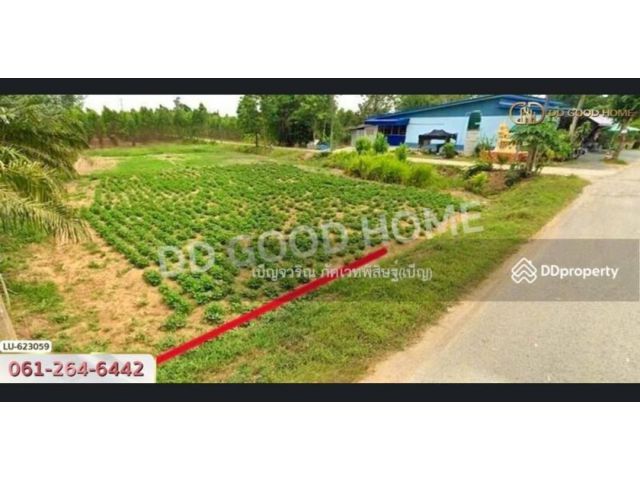 ที่ดิน บ้านโค้งประดู่เทศบาล 5 อ.เกาะจันทร์ 80 ตร.ว. ชลบุรี