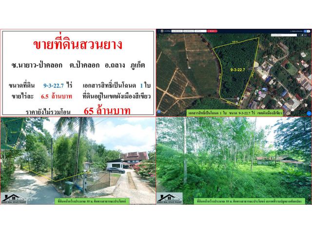 ขายที่ดินสวนยาง ขนาด 9-3-22.7 ไร่  ซ.นายาว-ป่าคลอก  ต.ป่าคลอก  อ.ถลาง  ภูเก็ต