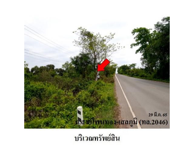 ขายที่ดินว่างเปล่า ต.สระนกแก้ว อ.โพนทอง จ.ร้อยเอ็ด