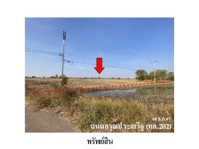 ขายที่ดินว่างเปล่า ต.ขี้เหล็ก อำเภอ ปทุมรัตต์ จังหวัด ร้อยเอ็ด