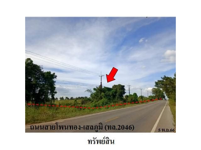 ขายที่ดินว่างเปล่า ต.สระนกแก้ว อ.โพนทอง จ.ร้อยเอ็ด