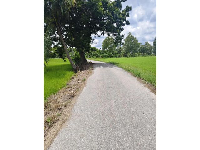 ขายที่นา4ไร่เหมา880,000บาทติดถนนคอนกรีตติดเหมืองน้ำสาธารณะประโยขน์