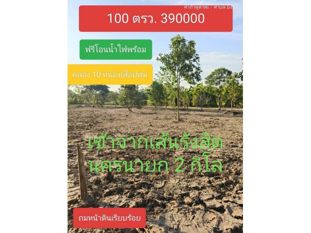ขายที่ดินสวยด่วนเหลือจำนวนจำกัด บ้านสวน