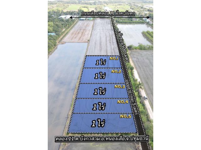 ️ที่ดินเหมาะทำบ้านสวนเกษตร คลอง 11 อ.หนองเสือ จ.ปทุมธานี แบ่งล็อกละ 1 ไร่มี 5 แปลง ราคาไร่ละ 850,000 บาท ️สถานที่ใกล้เคี