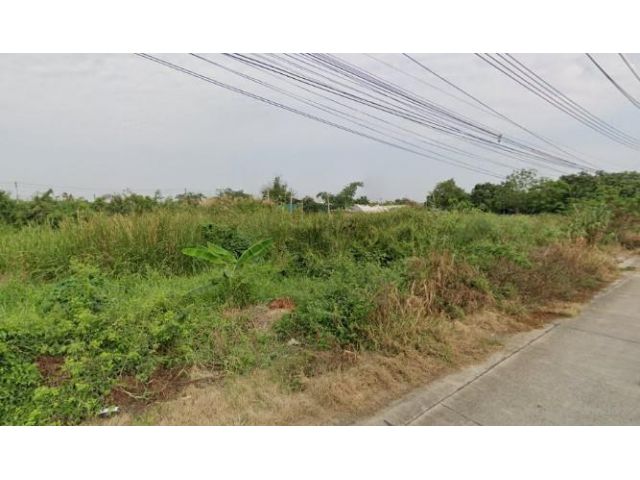ที่ดินเมืองปทุมธานี ที่ดินบางเดื่อ ที่ดินซอยวัดหนองปรง  ห่างถนนใหญ่กรุงเทพปทุมธานี 1.5 กม. ใกล้ถนนราชพฤกษ์ แยกต่างระดับว