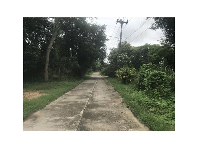 ที่ดินขายราคาถูก  ต่อรองได้อีก  เจ้าของไม่มีเวลามาดู