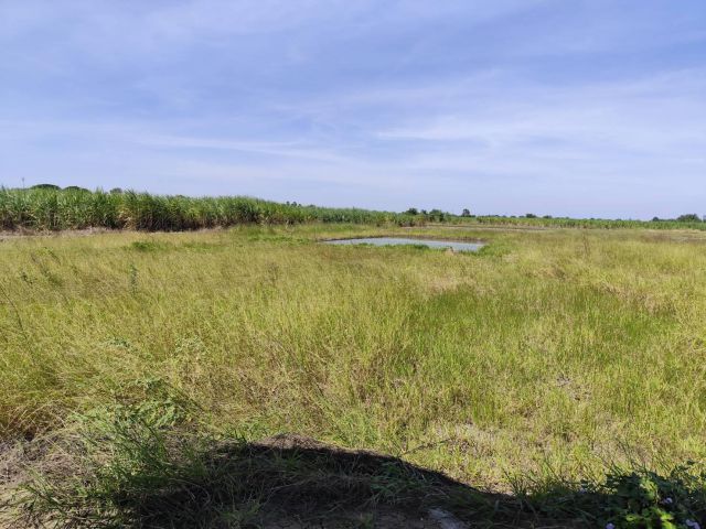 Vacant land for sale natural view can be subdivided or purchased as a whole (5-9 rai). Suitable for building a house or