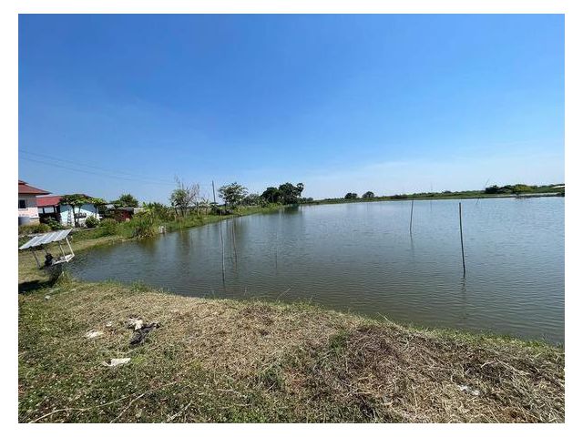 ขายที่ดิน บางปลา (คลอง7) สมุทรปราการ (ต.บางปลา อ.บางพลี สมุทรปราก