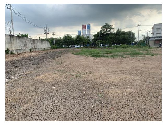 ประกาศให้เช่าที่ดินทำเลดี ตำบล รังสิต คลอง 7 อำเภอธัญบุรี ปทุมธานี ถนน ปท.3004