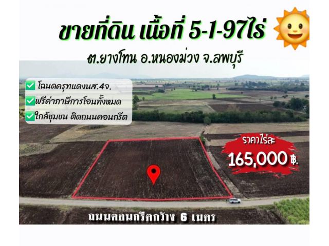 》》ขายที่ดินโฉนดเนื้อที่ 5-1-97ไร่ (บ้านหนองมะกรูด) ติดถนนคอนกรีต ราคาไร่ละ 165,000 บาท(พร้อมโอน) ต.ยางโทน อ.หนองม่วง