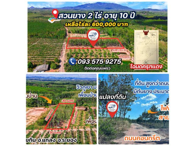 ที่ดินระยอง 2 ไร่ ทำเลดี ราคาถูกที่สุด