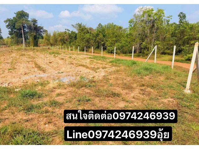 ขายที่ดิน2ไร่48วาราคายกแปลง486,000บาทบ้านหนองจิก ต วังดาล อ กบินทร์บุรี จ ปราจีนบุรี