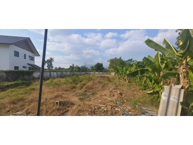 ที่ดิน 3 ไร่ พร้อมหอพัก 10 ห้อง ทำโครงการได้ ติดเส้นหลักบ้านกลาง
